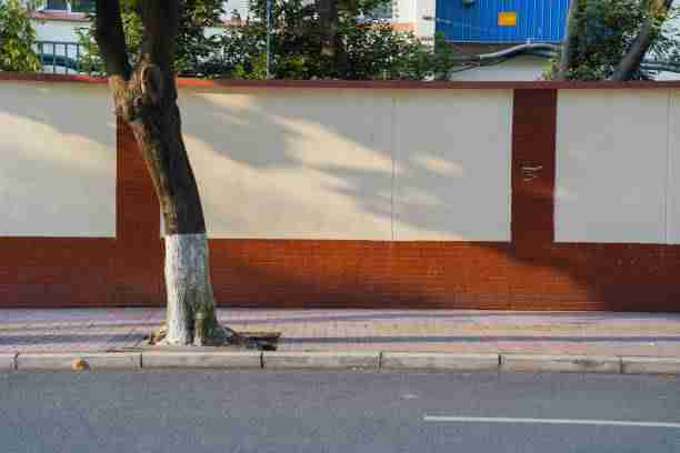 新91视频运营策略全景报告：完整版指南小白必看